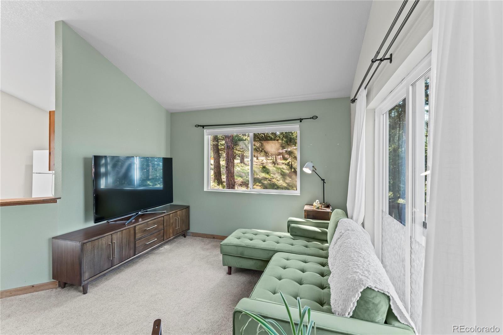 MLS Image #9 for 215  southpark road,florissant, Colorado
