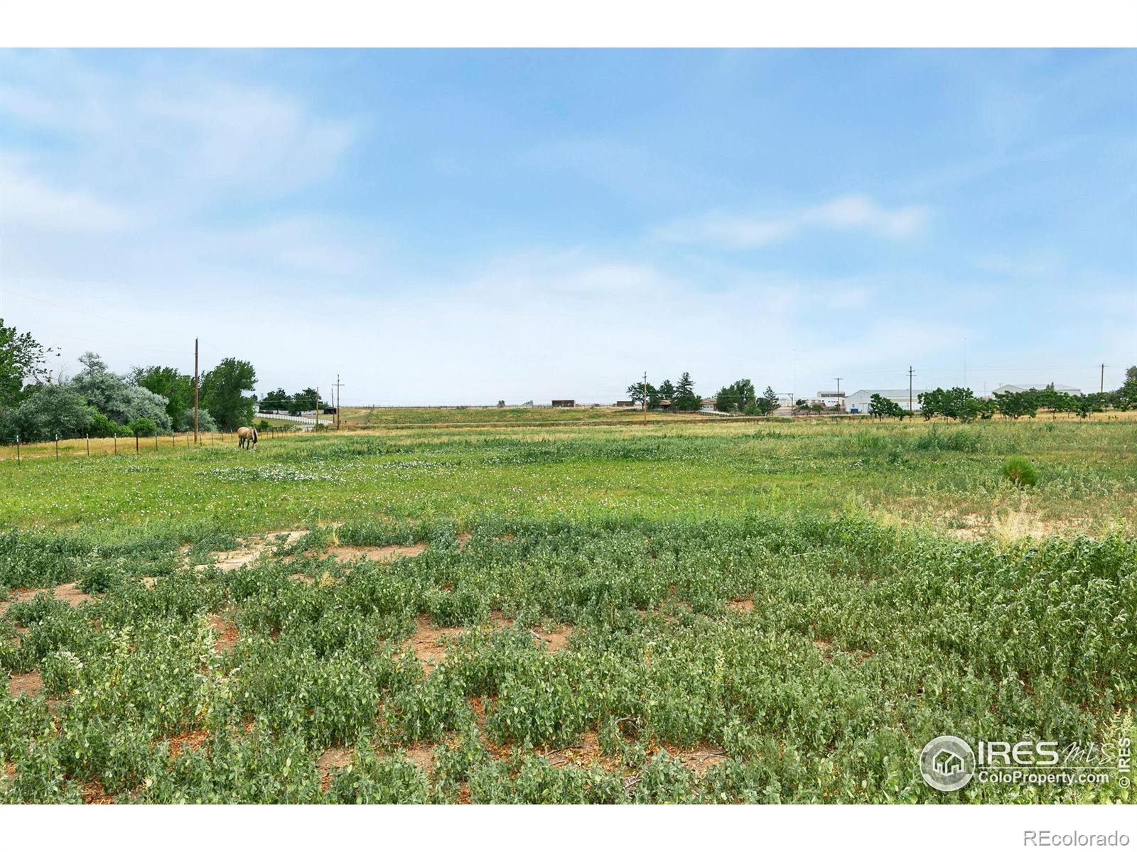 MLS Image #34 for 5472 n highway 1 ,fort collins, Colorado