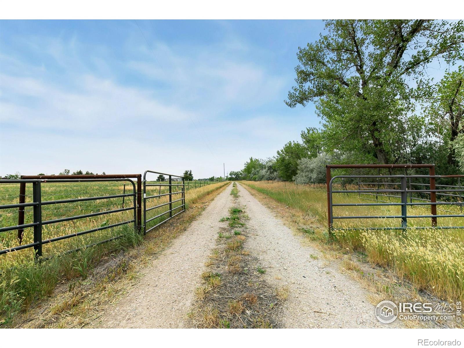 MLS Image #4 for 5472 n highway 1 ,fort collins, Colorado