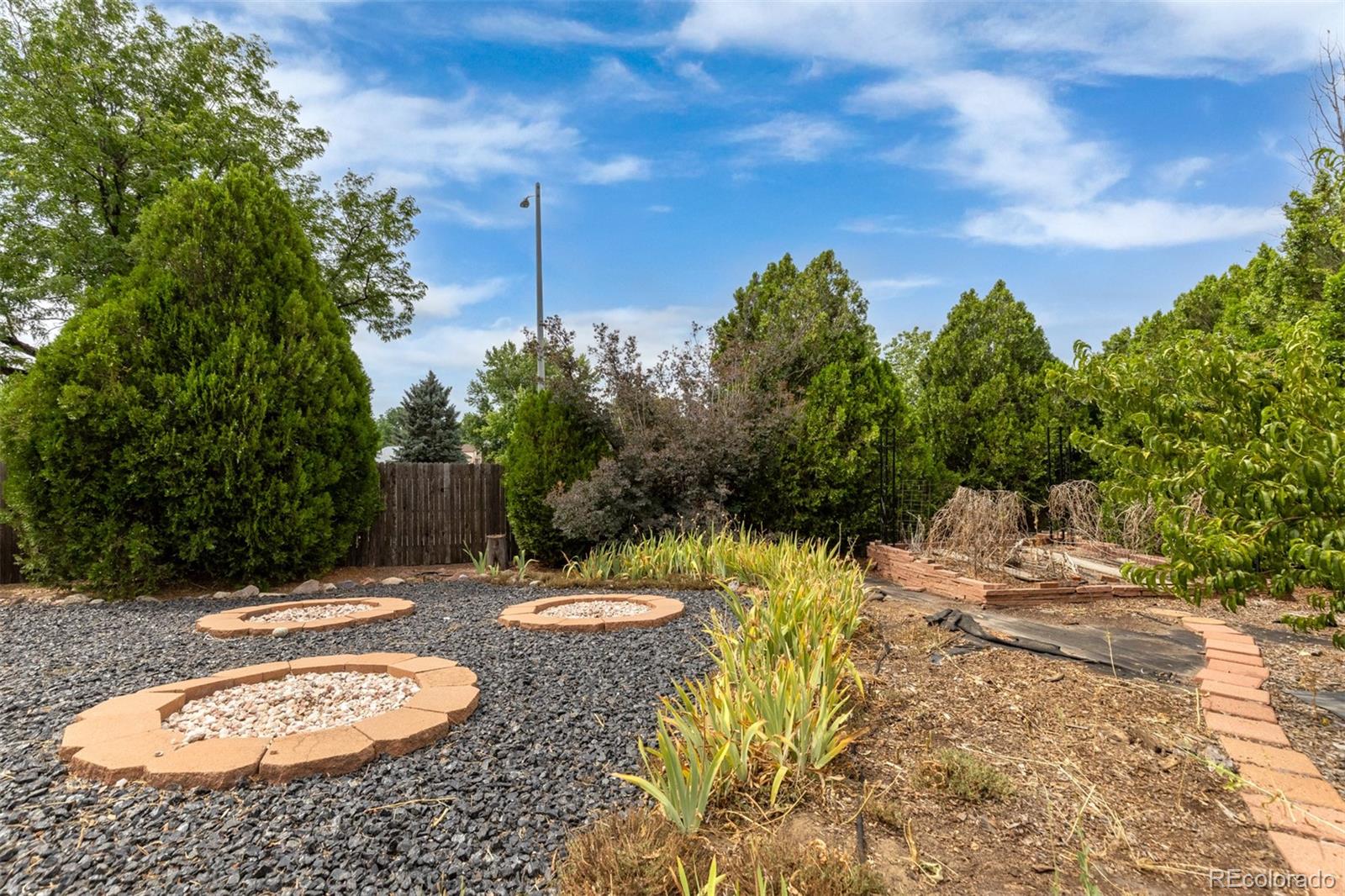 MLS Image #2 for 907  yucca court,longmont, Colorado