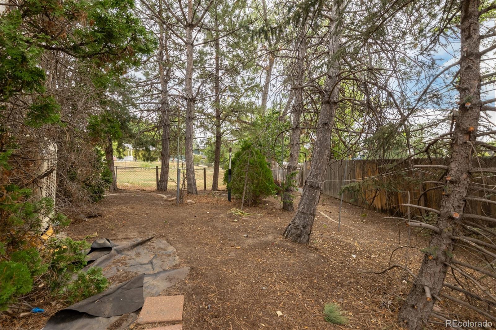 MLS Image #4 for 907  yucca court,longmont, Colorado