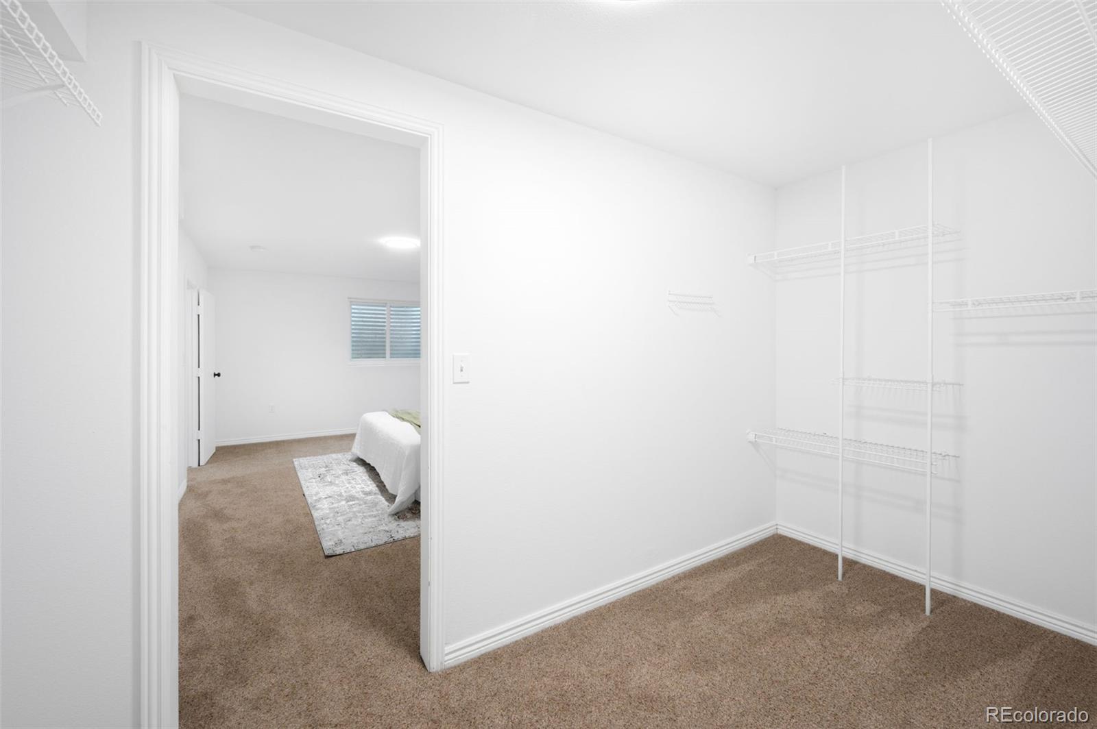 MLS Image #12 for 858 s ouray drive,loveland, Colorado
