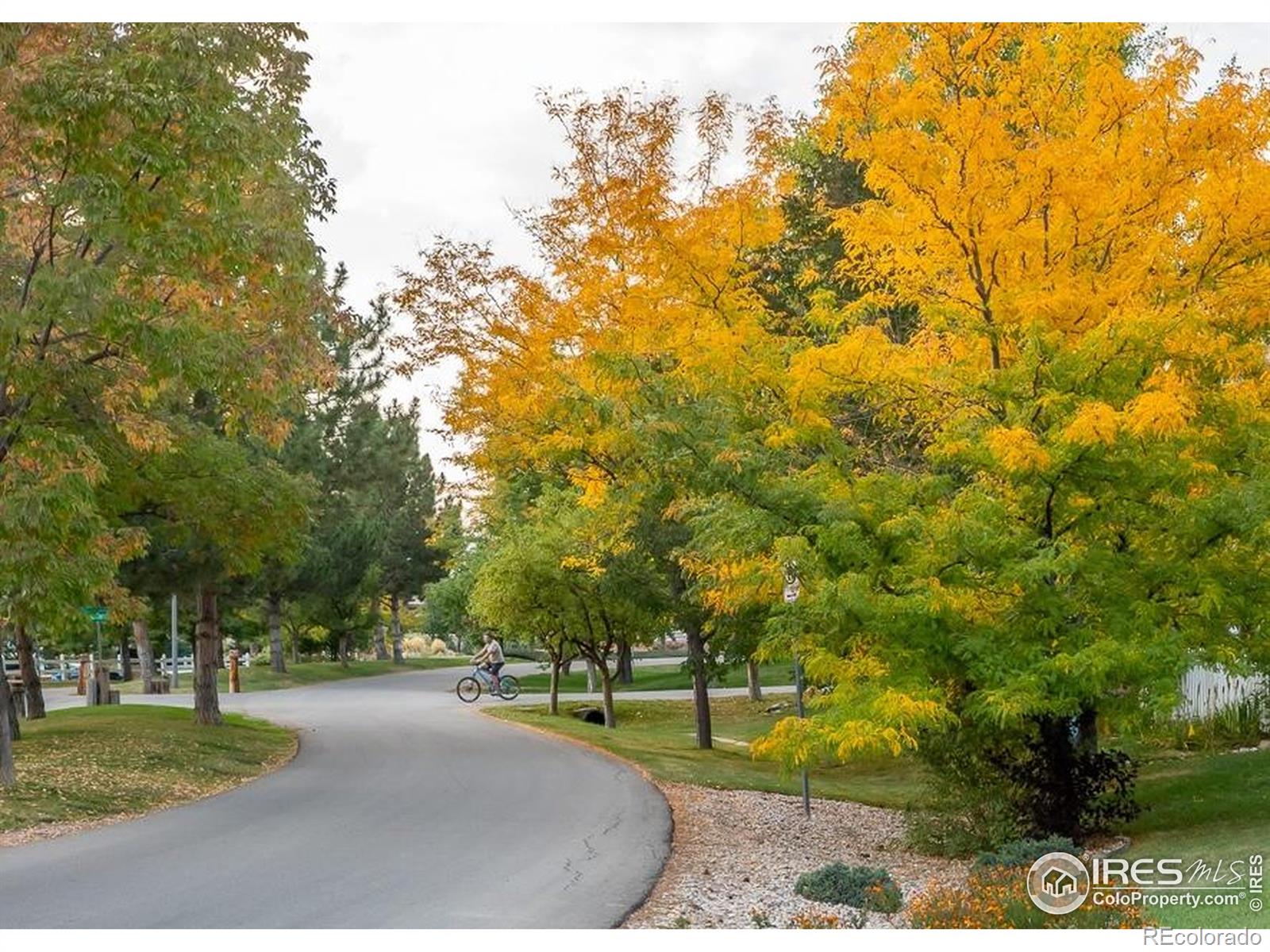 MLS Image #38 for 459  cape dory drive,loveland, Colorado