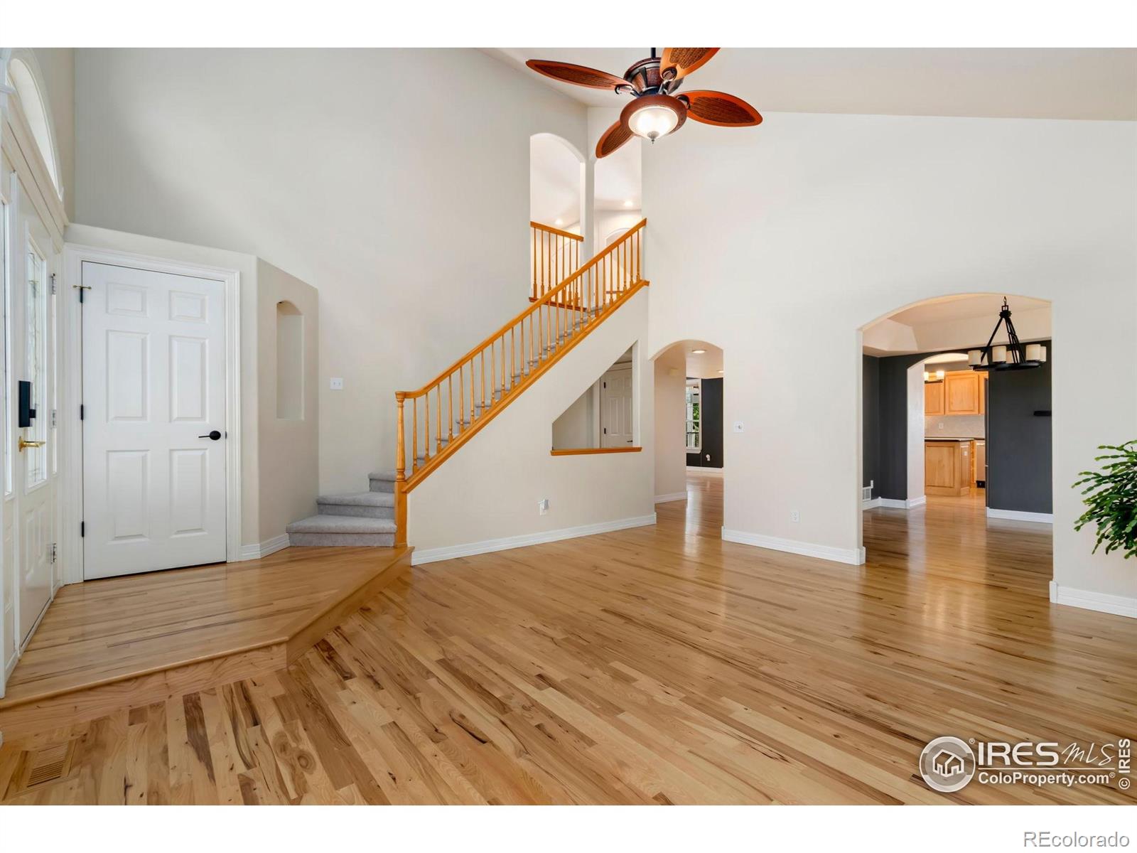 MLS Image #6 for 459  cape dory drive,loveland, Colorado