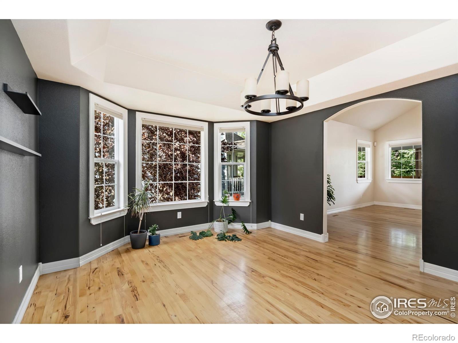 MLS Image #7 for 459  cape dory drive,loveland, Colorado