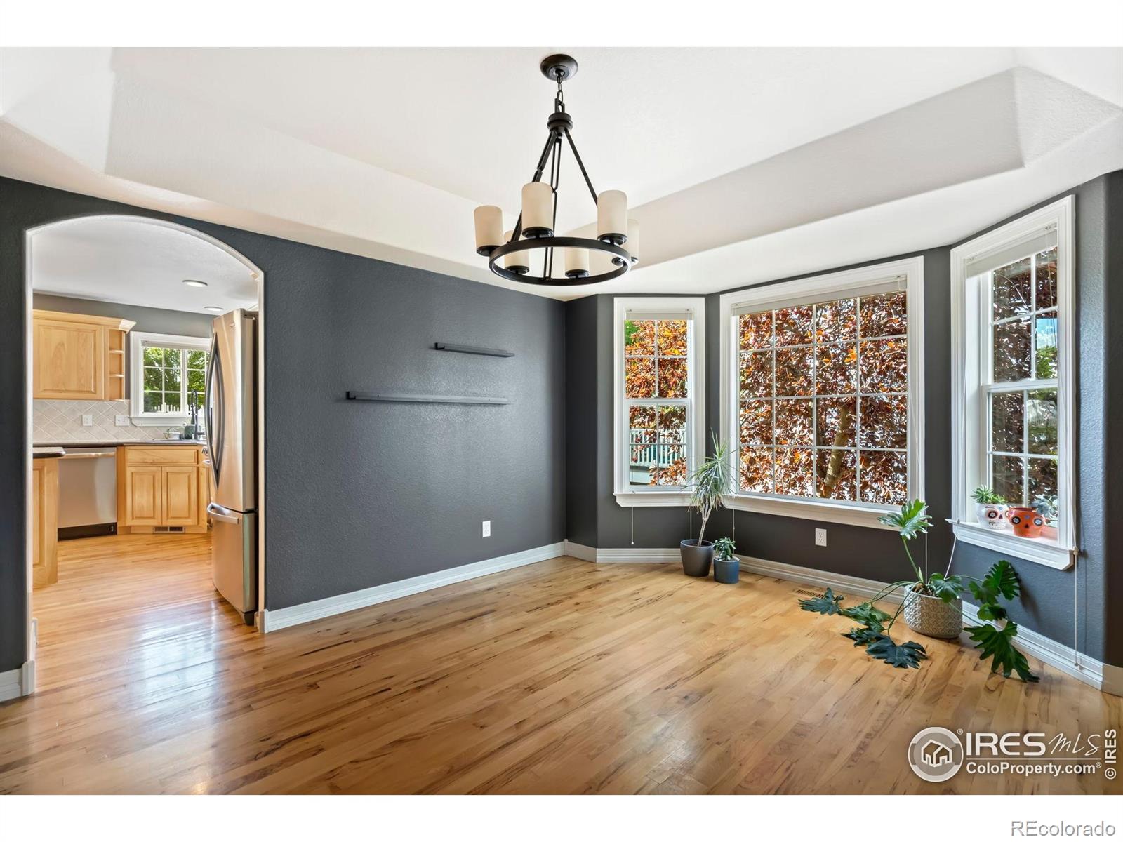 MLS Image #8 for 459  cape dory drive,loveland, Colorado