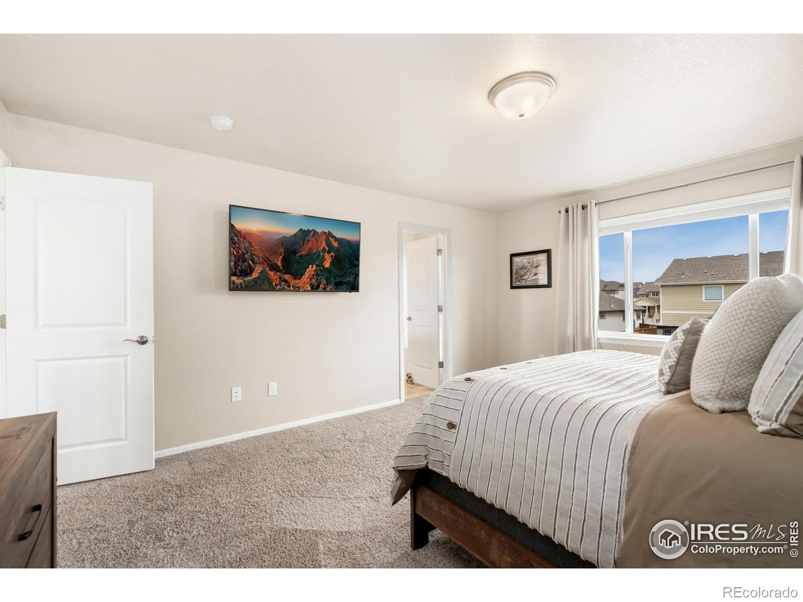 MLS Image #16 for 1683  thrive drive,windsor, Colorado