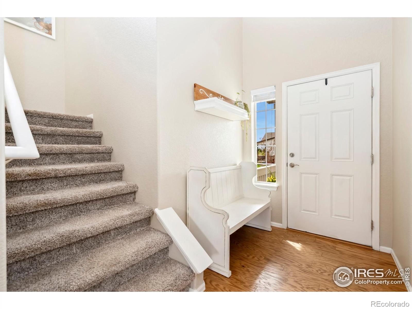 MLS Image #3 for 1683  thrive drive,windsor, Colorado