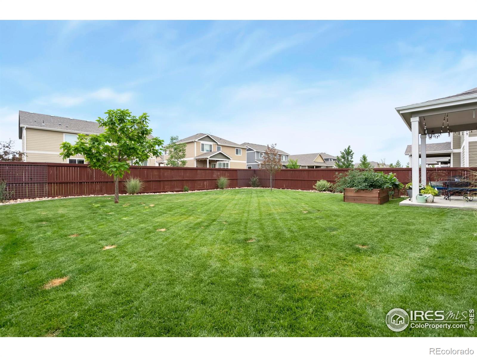 MLS Image #31 for 1683  thrive drive,windsor, Colorado