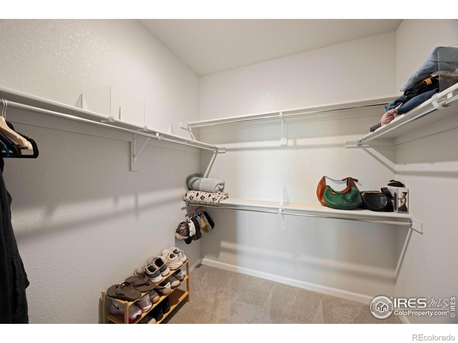 MLS Image #23 for 244  veronica drive,windsor, Colorado