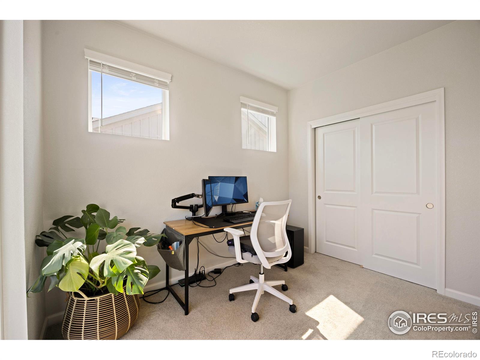 MLS Image #24 for 244  veronica drive,windsor, Colorado