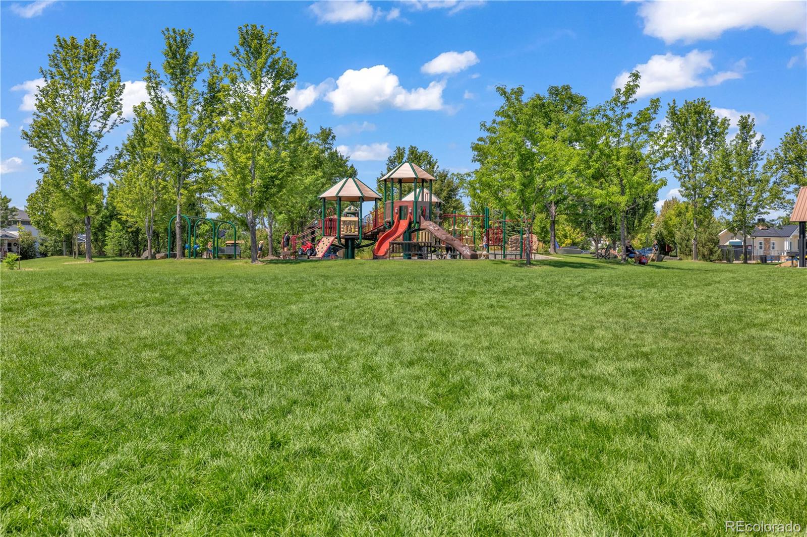 MLS Image #37 for 626  gallegos street,erie, Colorado