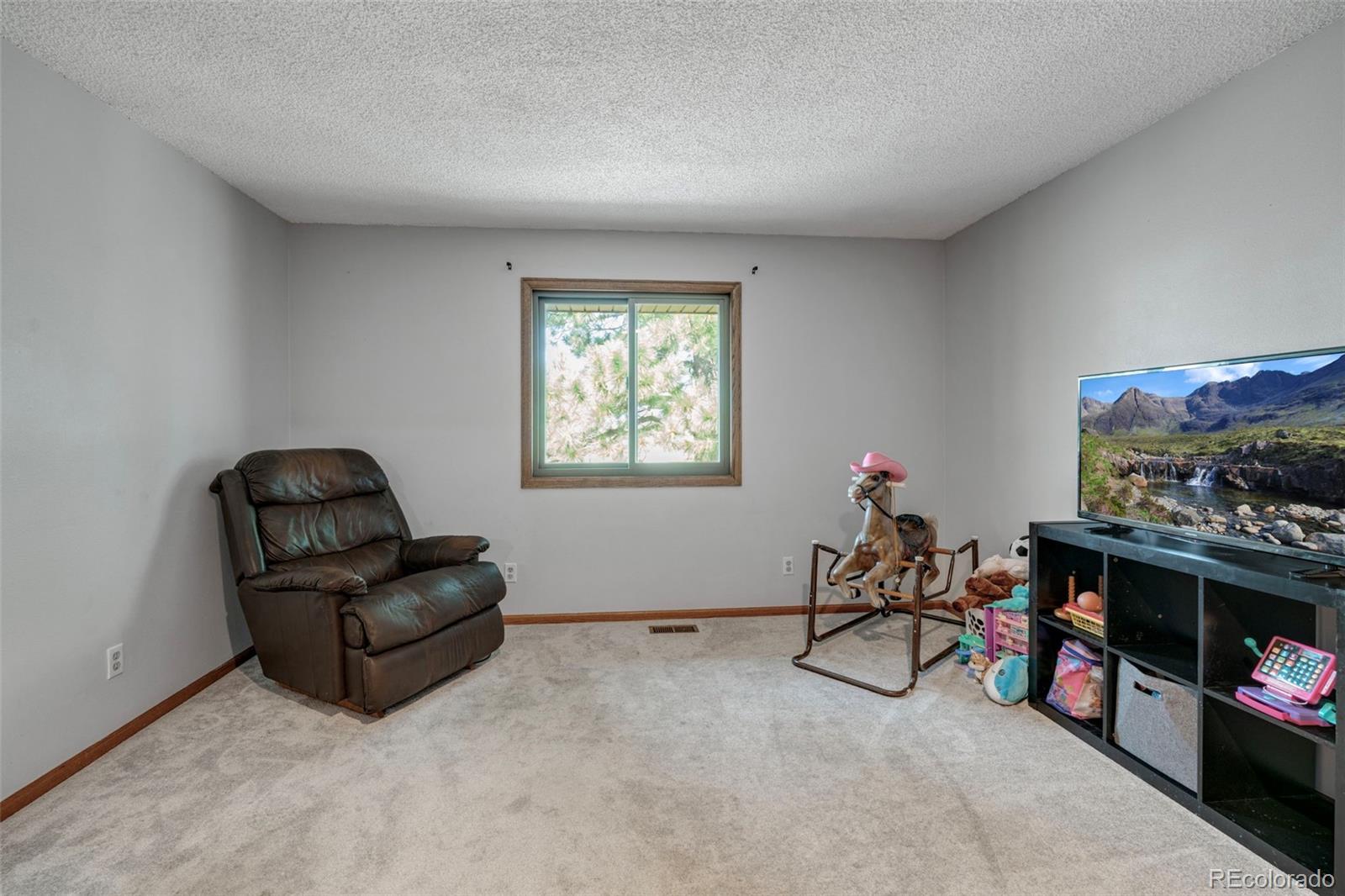 MLS Image #14 for 7585  ponca road,colorado springs, Colorado