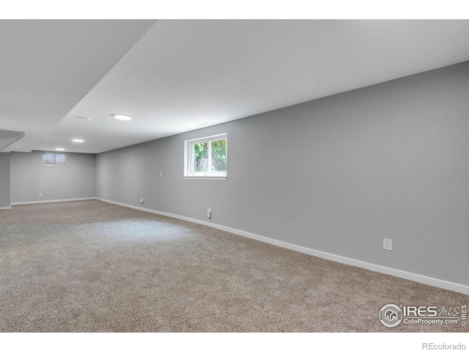MLS Image #16 for 3721  columbia drive,longmont, Colorado