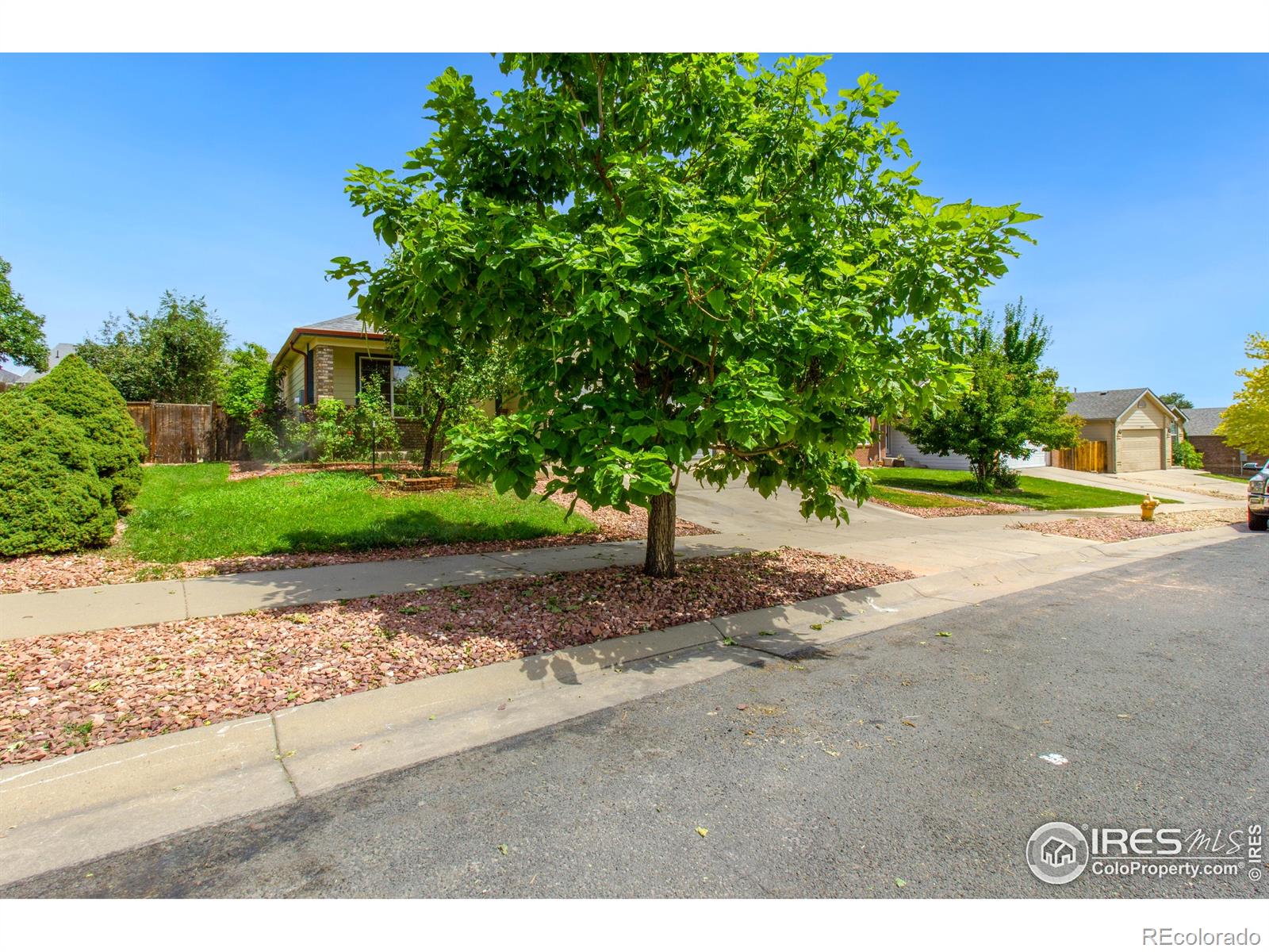 MLS Image #19 for 3302  39th avenue,evans, Colorado