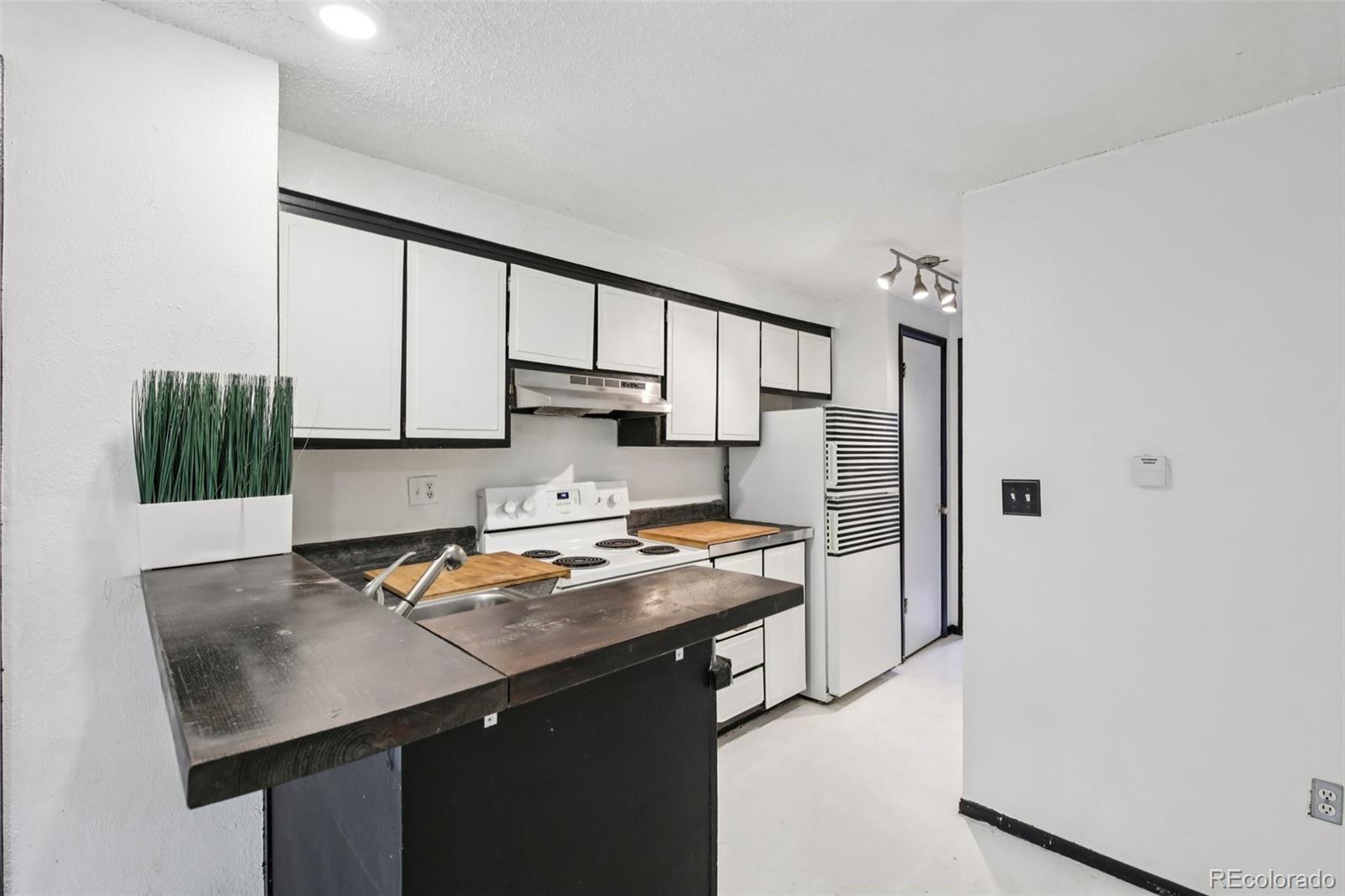 MLS Image #10 for 1140 n downing street,denver, Colorado