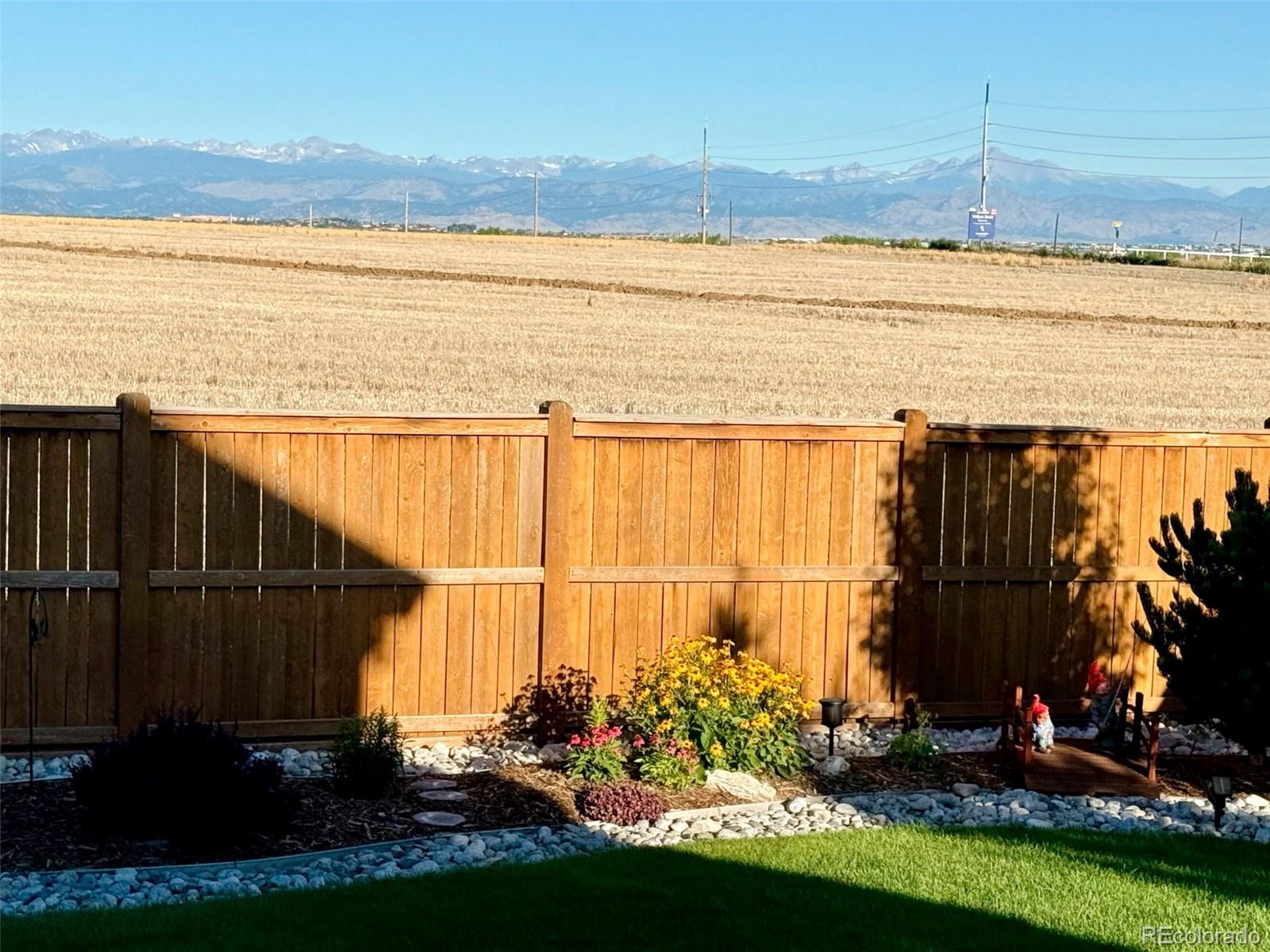 MLS Image #28 for 14315  dahlia street,thornton, Colorado