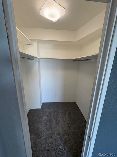 MLS Image #10 for 1121  albion street,denver, Colorado