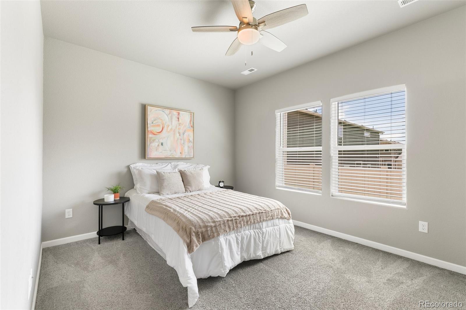 MLS Image #17 for 1047  tyre heights,colorado springs, Colorado
