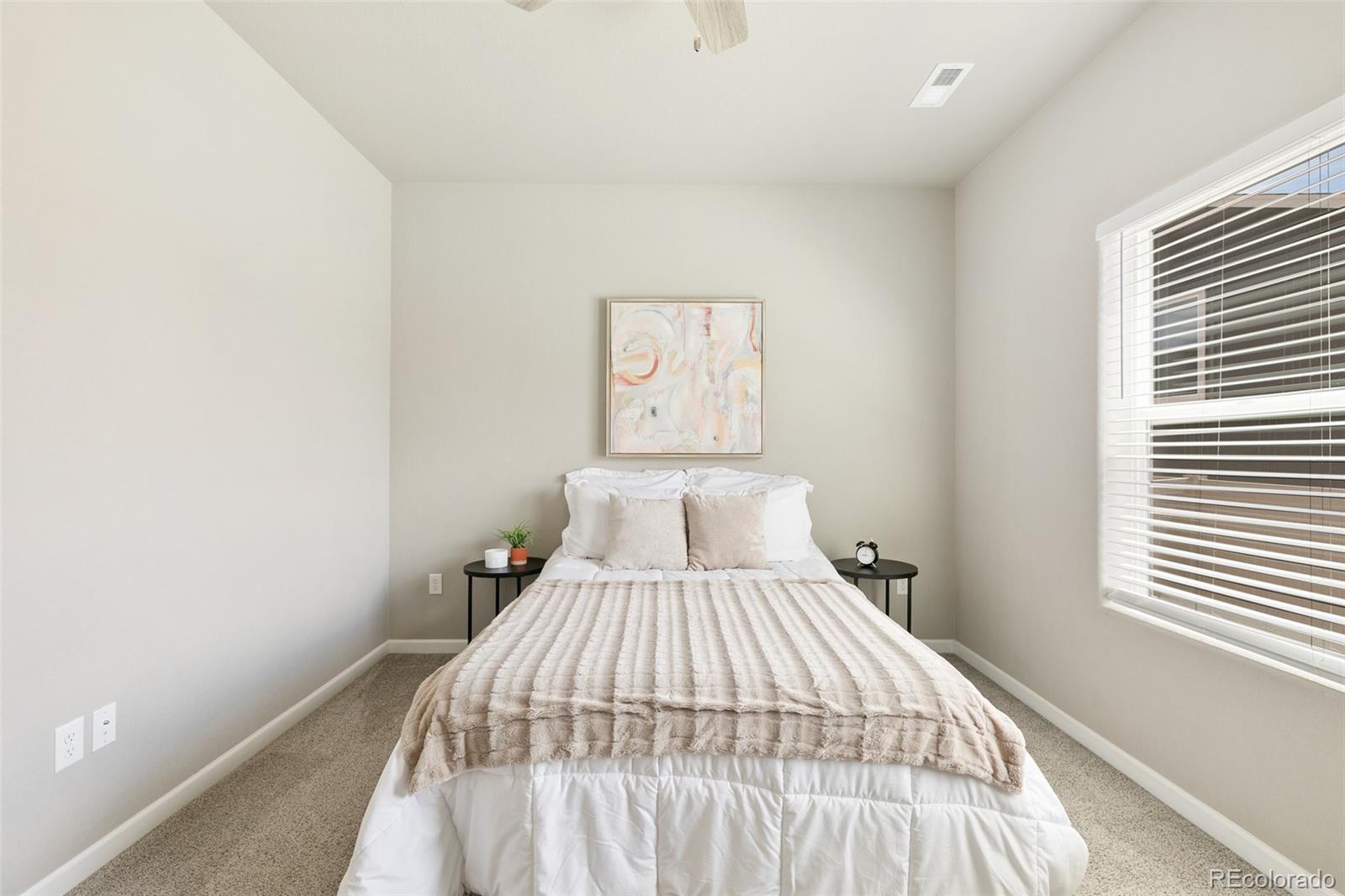 MLS Image #19 for 1047  tyre heights,colorado springs, Colorado