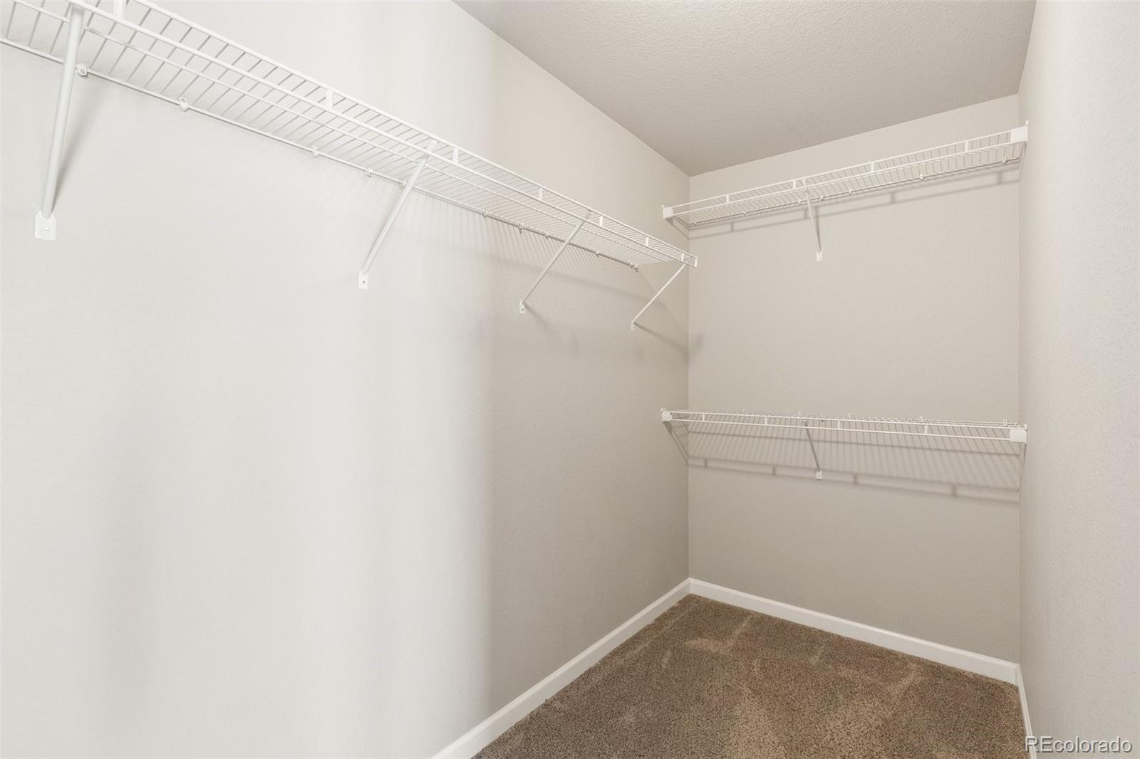 MLS Image #20 for 1047  tyre heights,colorado springs, Colorado
