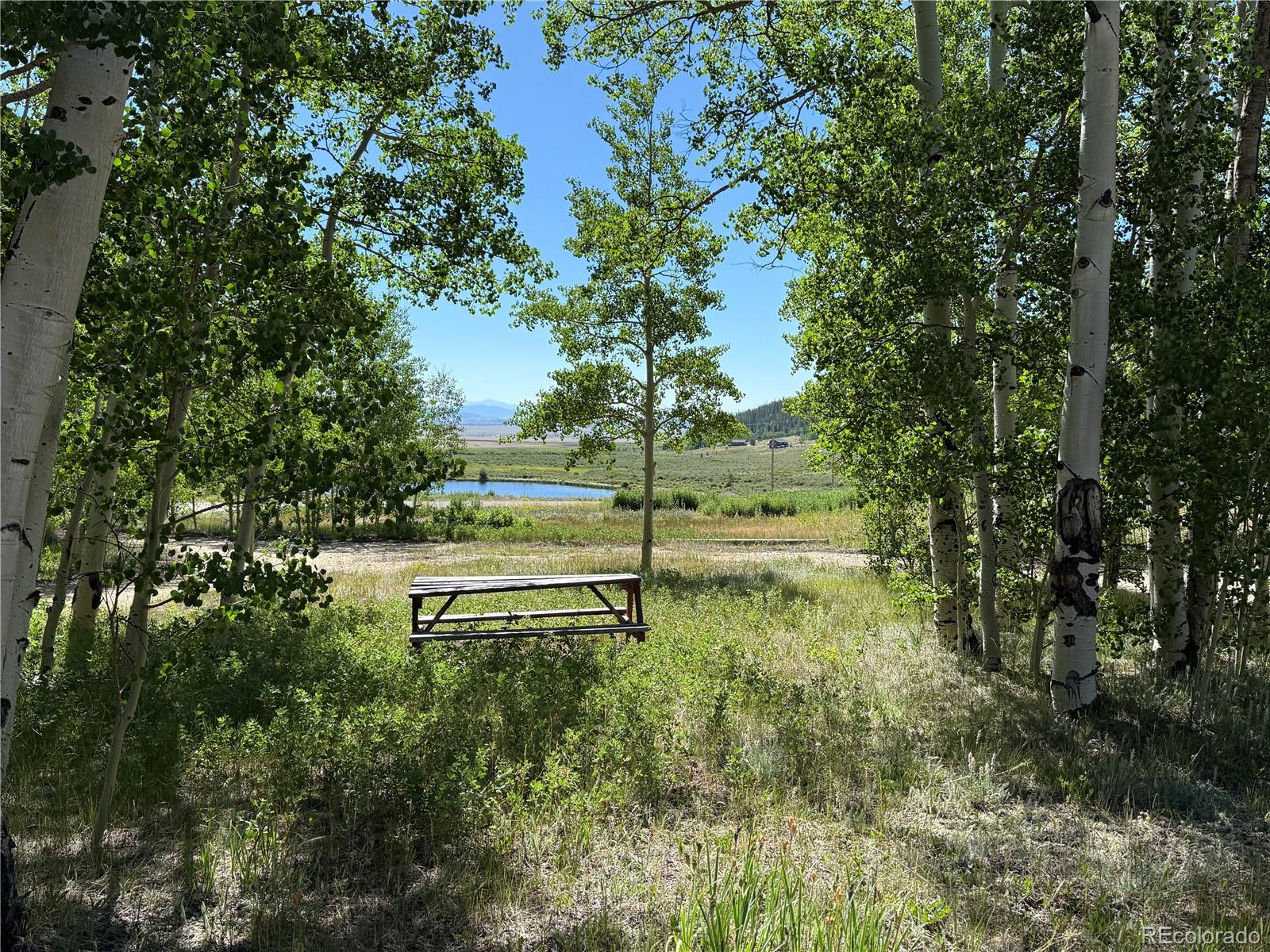 MLS Image #1 for 86  lamb mountain road,fairplay, Colorado