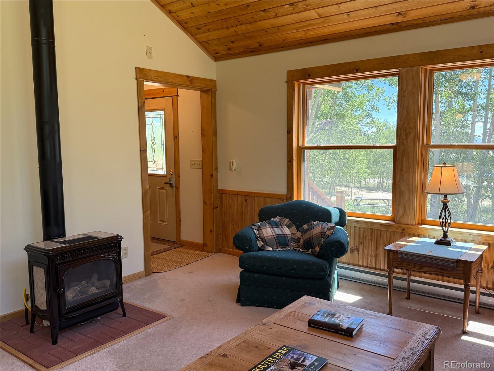 MLS Image #10 for 86  lamb mountain road,fairplay, Colorado
