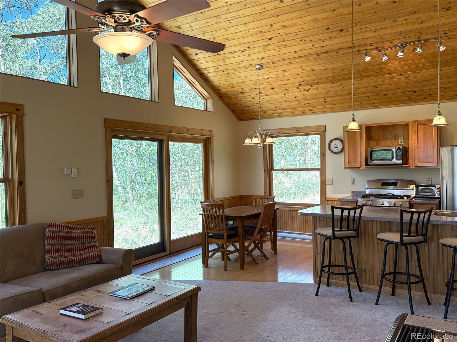 MLS Image #12 for 86  lamb mountain road,fairplay, Colorado