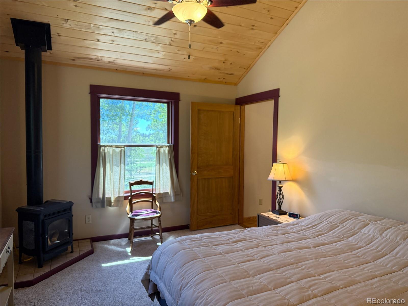 MLS Image #16 for 86  lamb mountain road,fairplay, Colorado