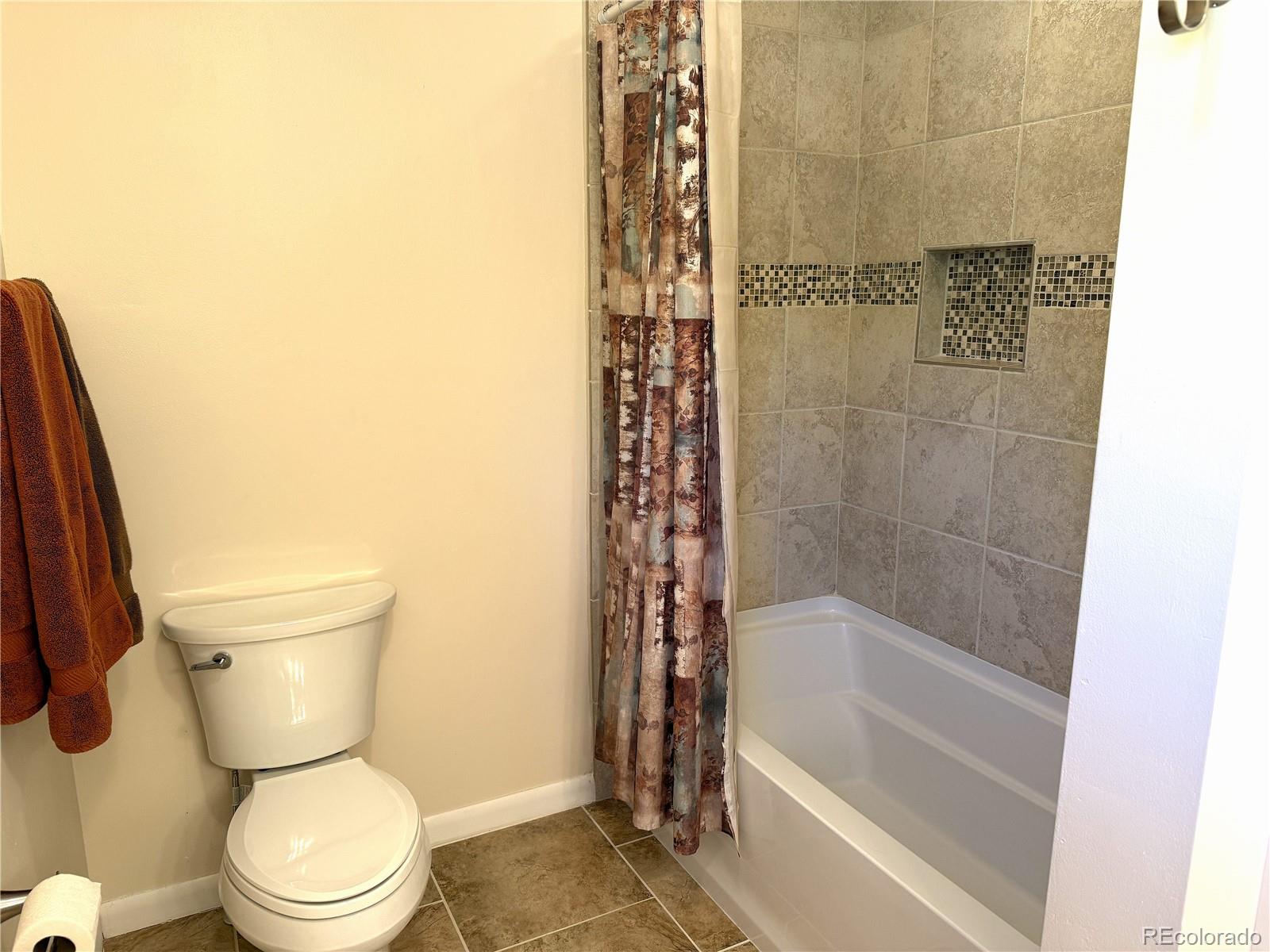 MLS Image #18 for 86  lamb mountain road,fairplay, Colorado