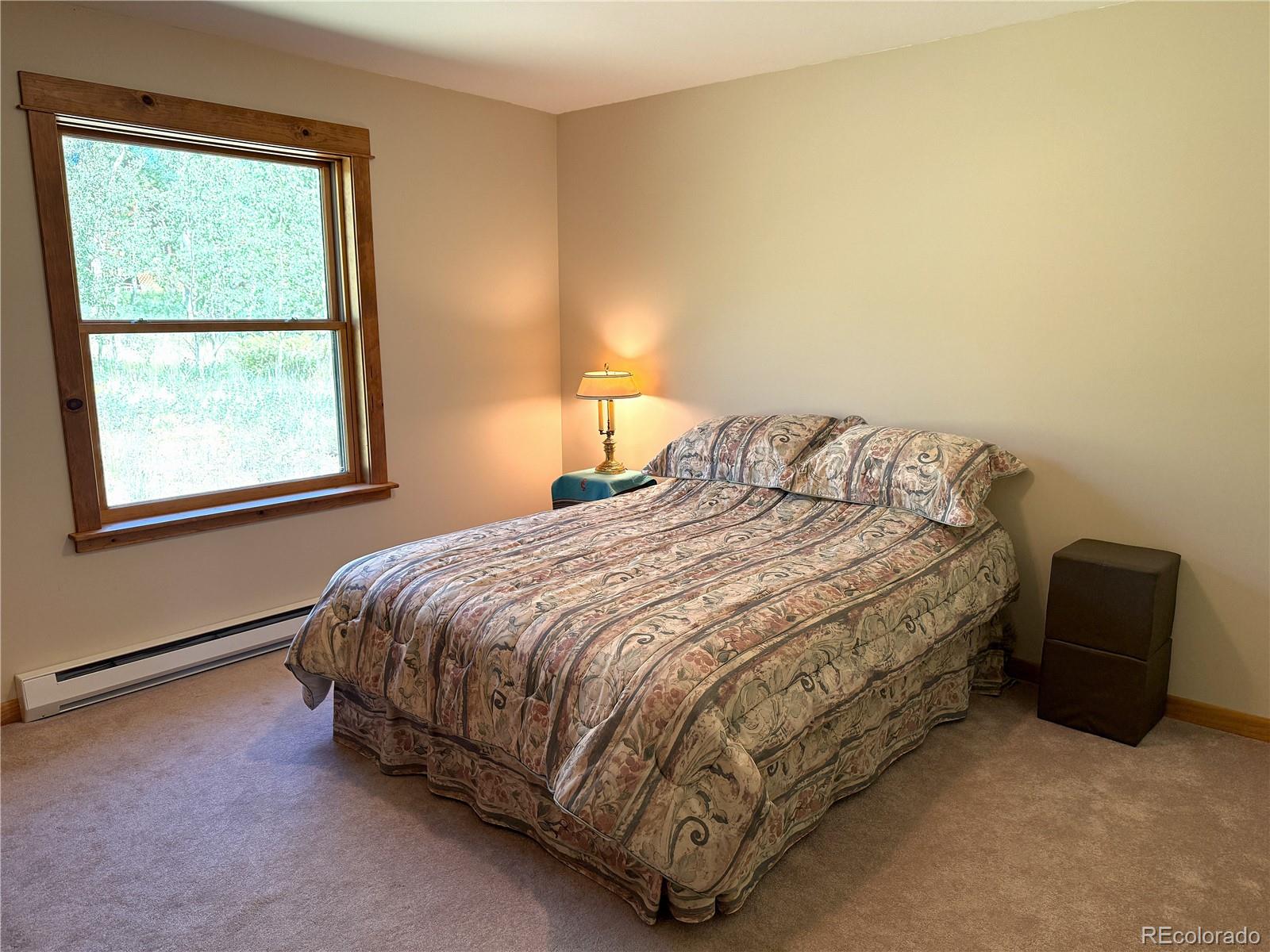 MLS Image #23 for 86  lamb mountain road,fairplay, Colorado