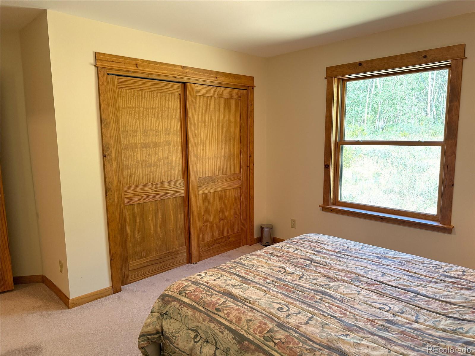 MLS Image #24 for 86  lamb mountain road,fairplay, Colorado