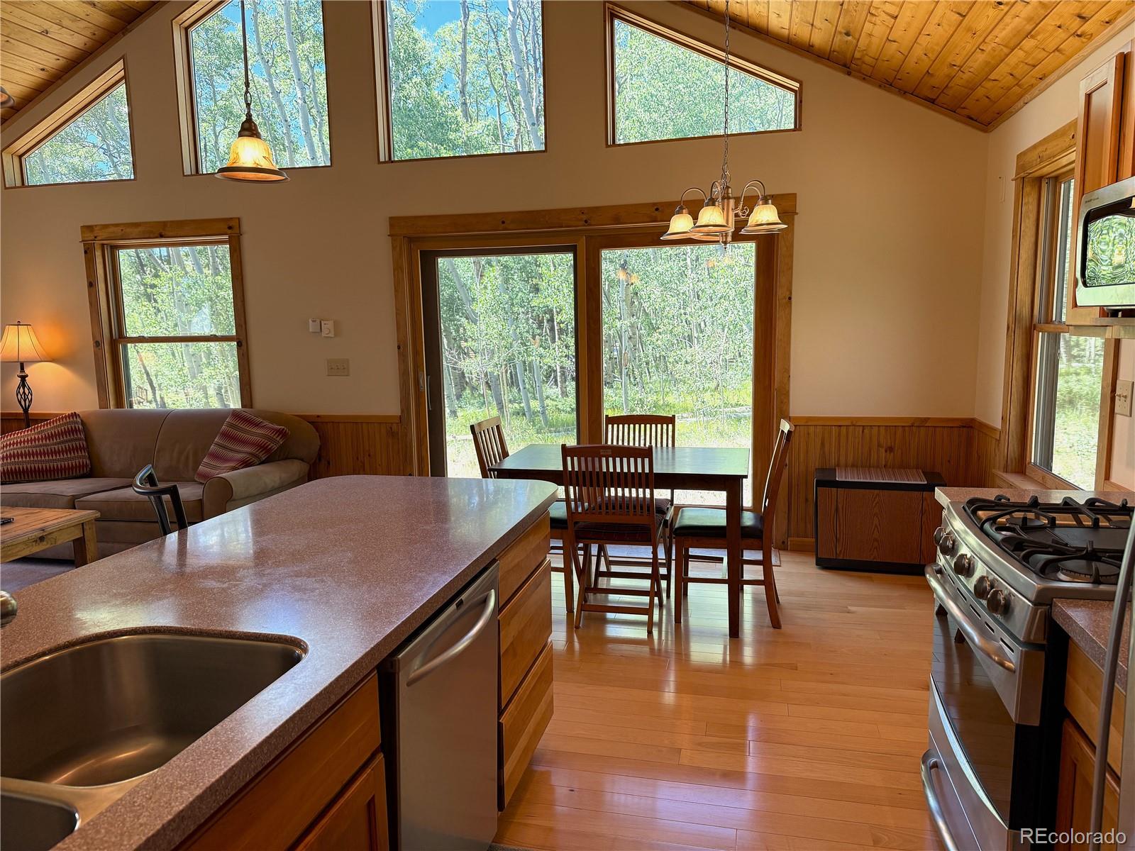 MLS Image #5 for 86  lamb mountain road,fairplay, Colorado