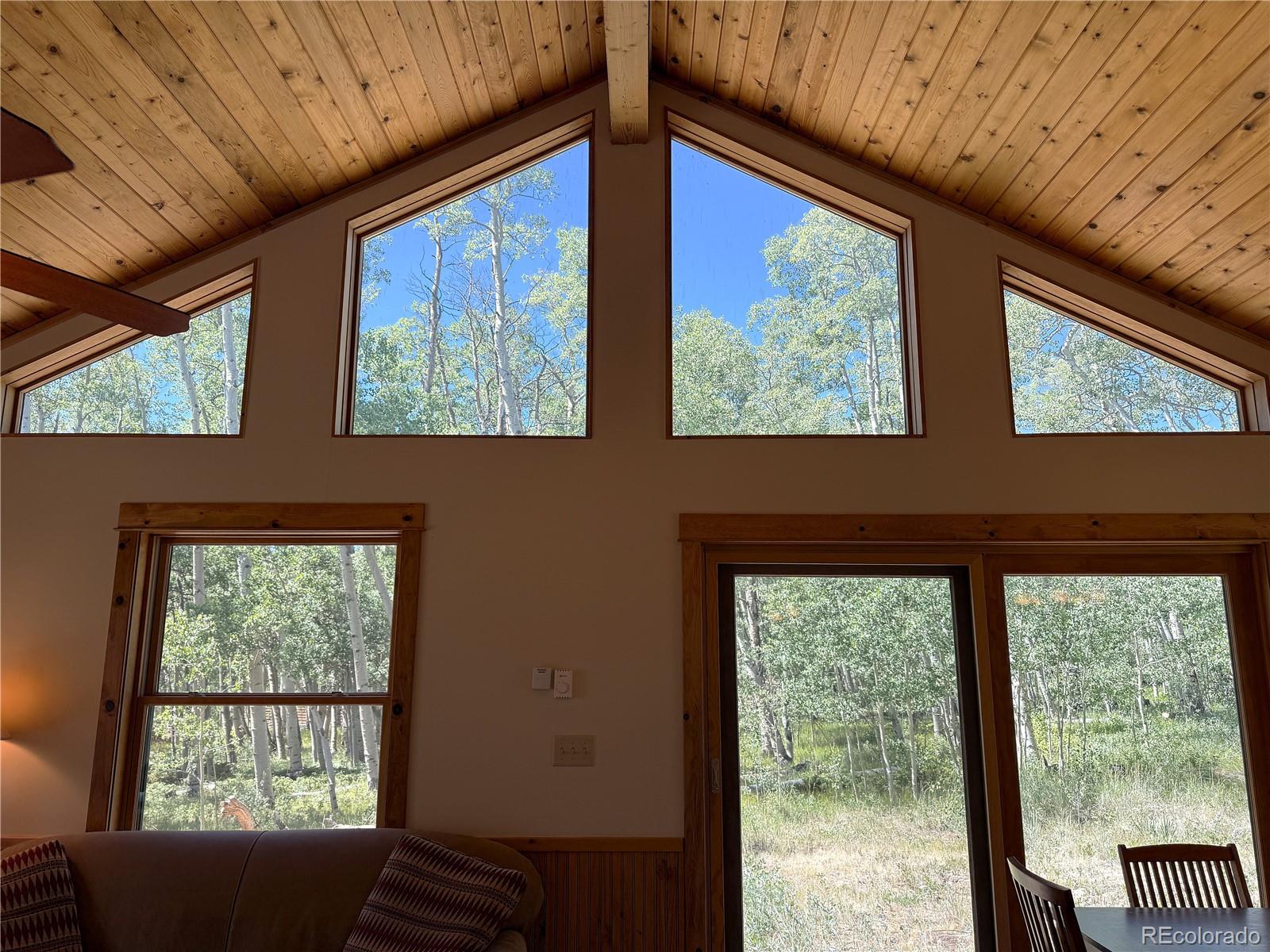 MLS Image #7 for 86  lamb mountain road,fairplay, Colorado