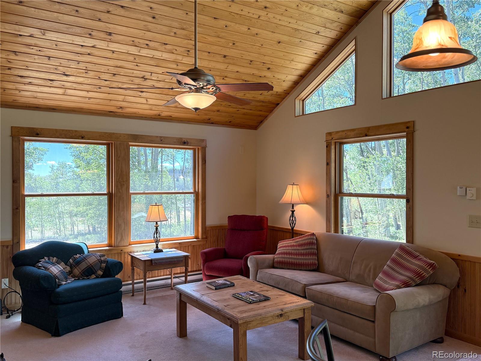 MLS Image #8 for 86  lamb mountain road,fairplay, Colorado