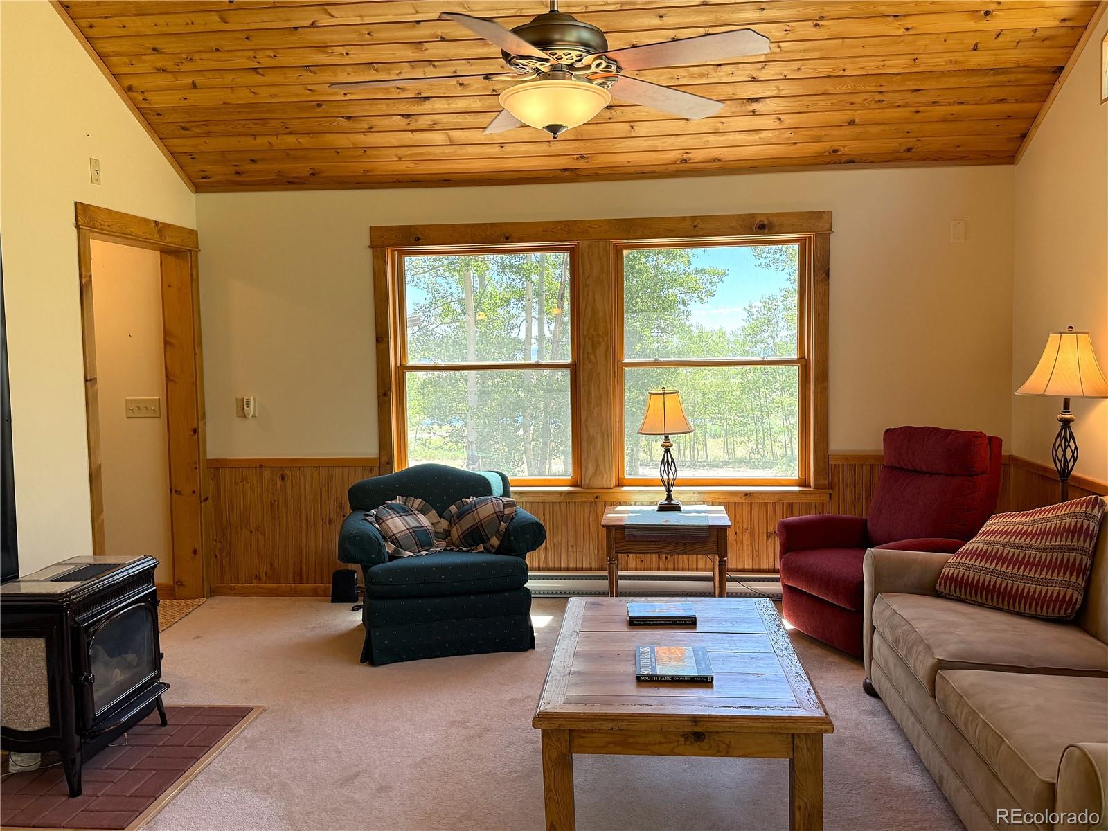 MLS Image #9 for 86  lamb mountain road,fairplay, Colorado