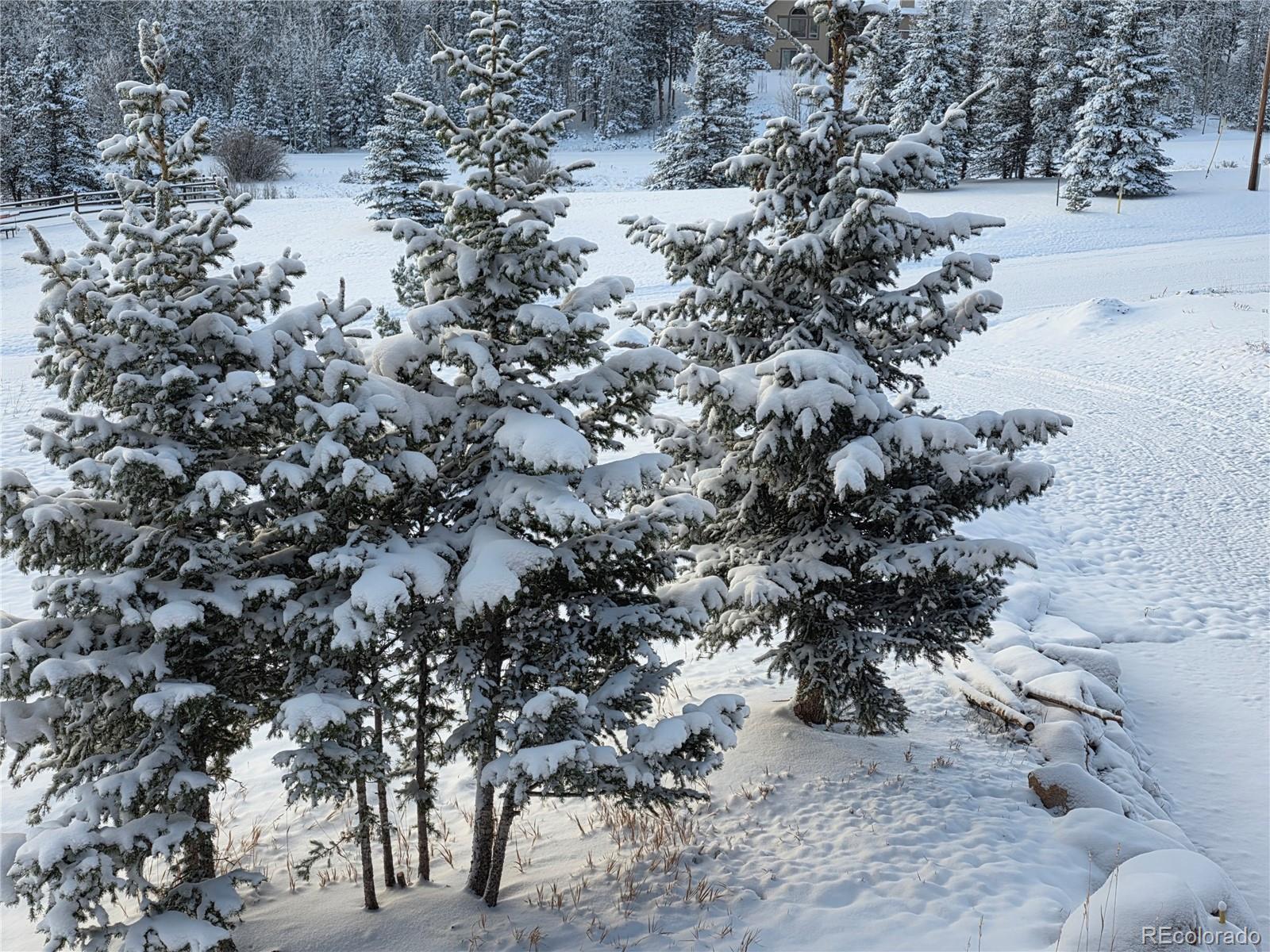 MLS Image #26 for 50  worley road,divide, Colorado