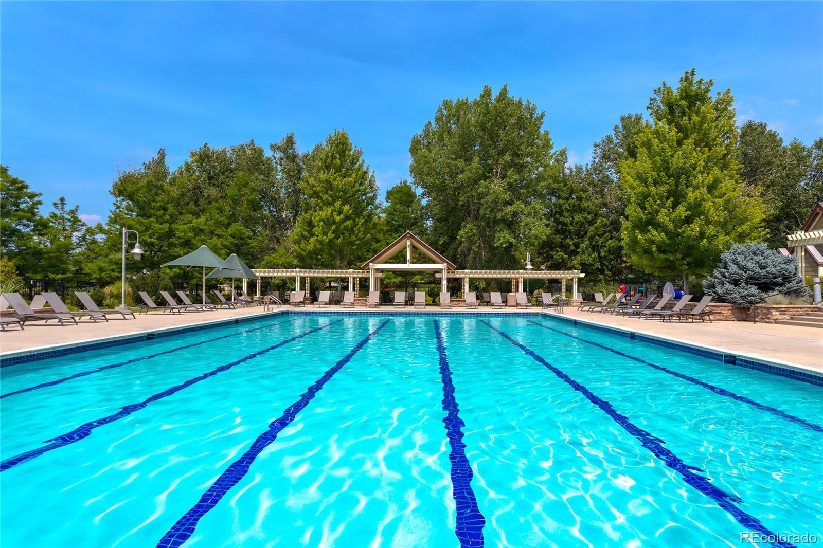 MLS Image #39 for 14330  lakeview lane,broomfield, Colorado
