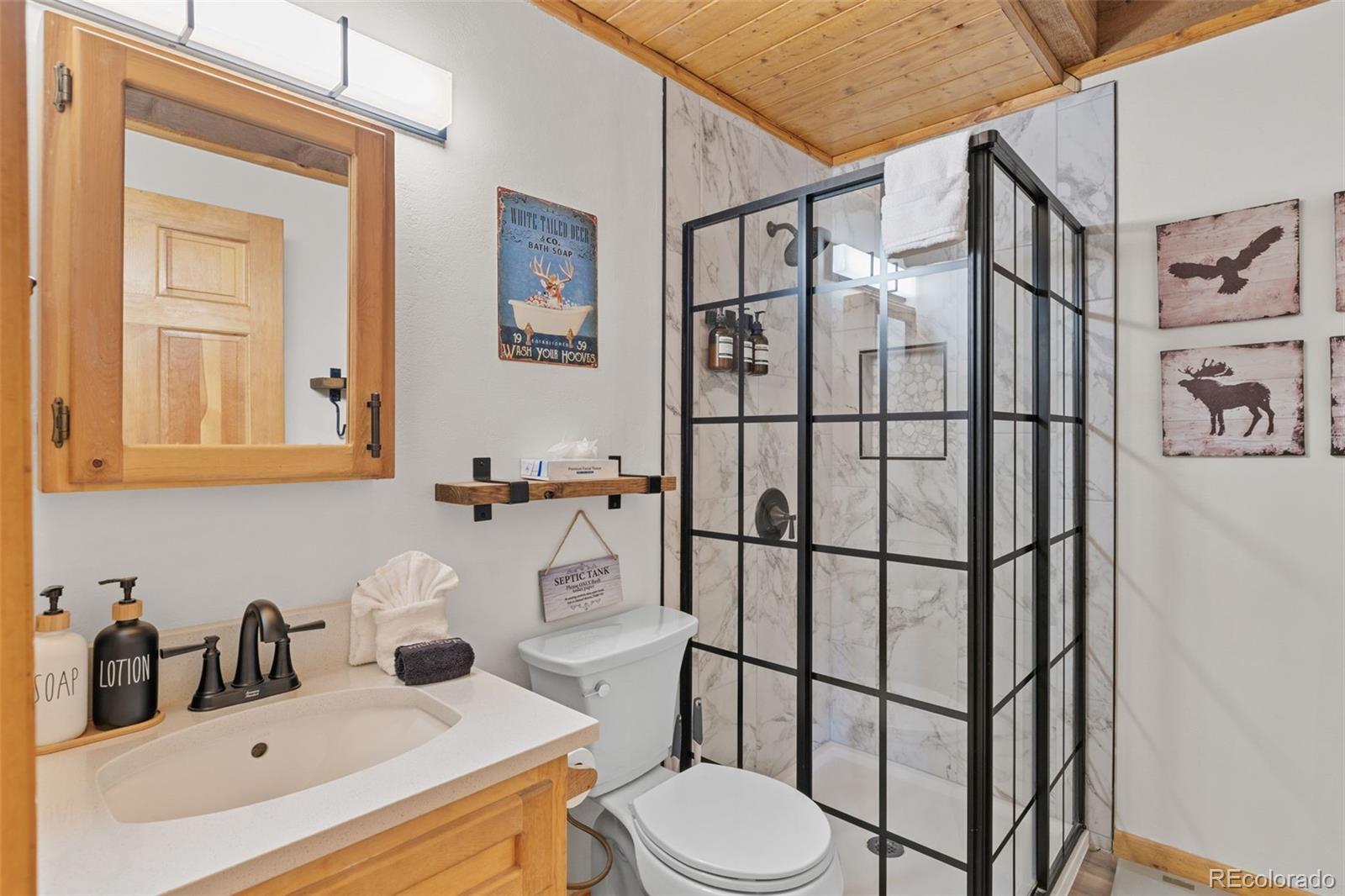 MLS Image #35 for 231  kimmes lane,breckenridge, Colorado