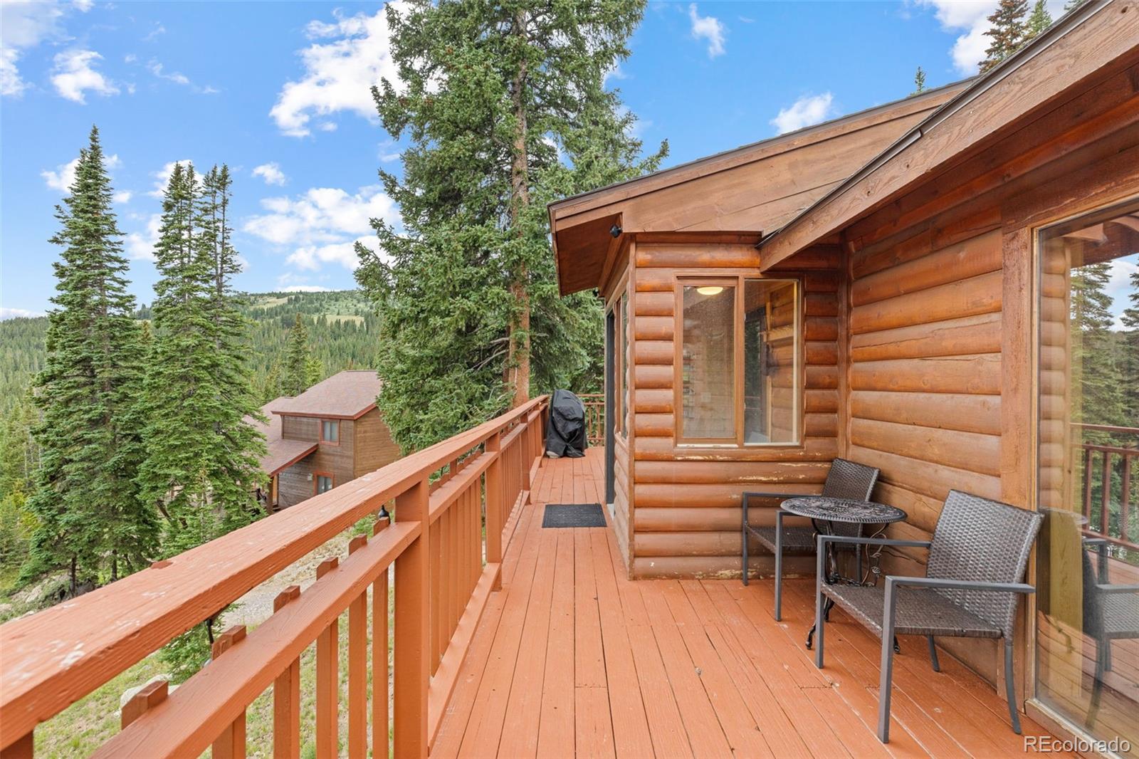 MLS Image #38 for 231  kimmes lane,breckenridge, Colorado