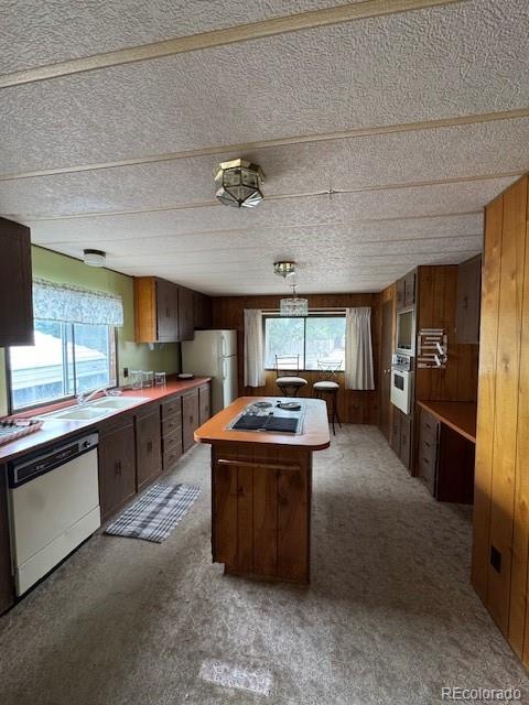 MLS Image #16 for 63 e vern ,pueblo west, Colorado
