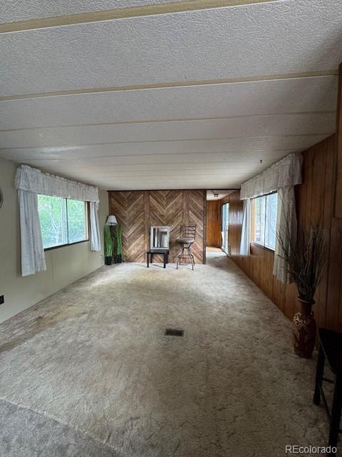 MLS Image #17 for 63 e vern ,pueblo west, Colorado