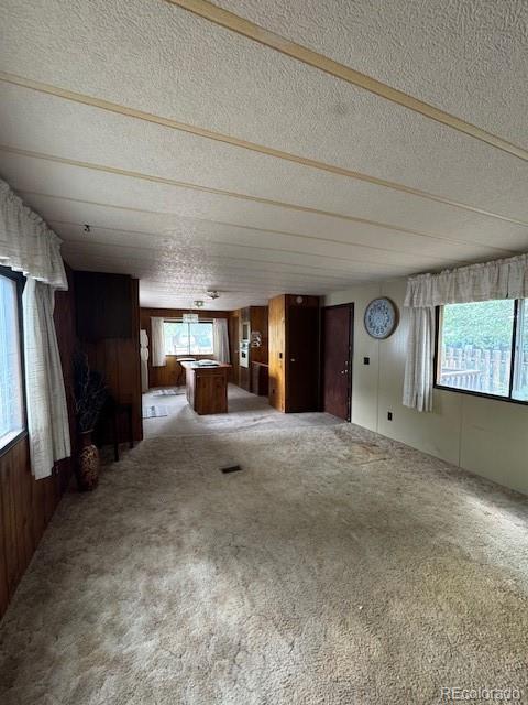 MLS Image #18 for 63 e vern ,pueblo west, Colorado