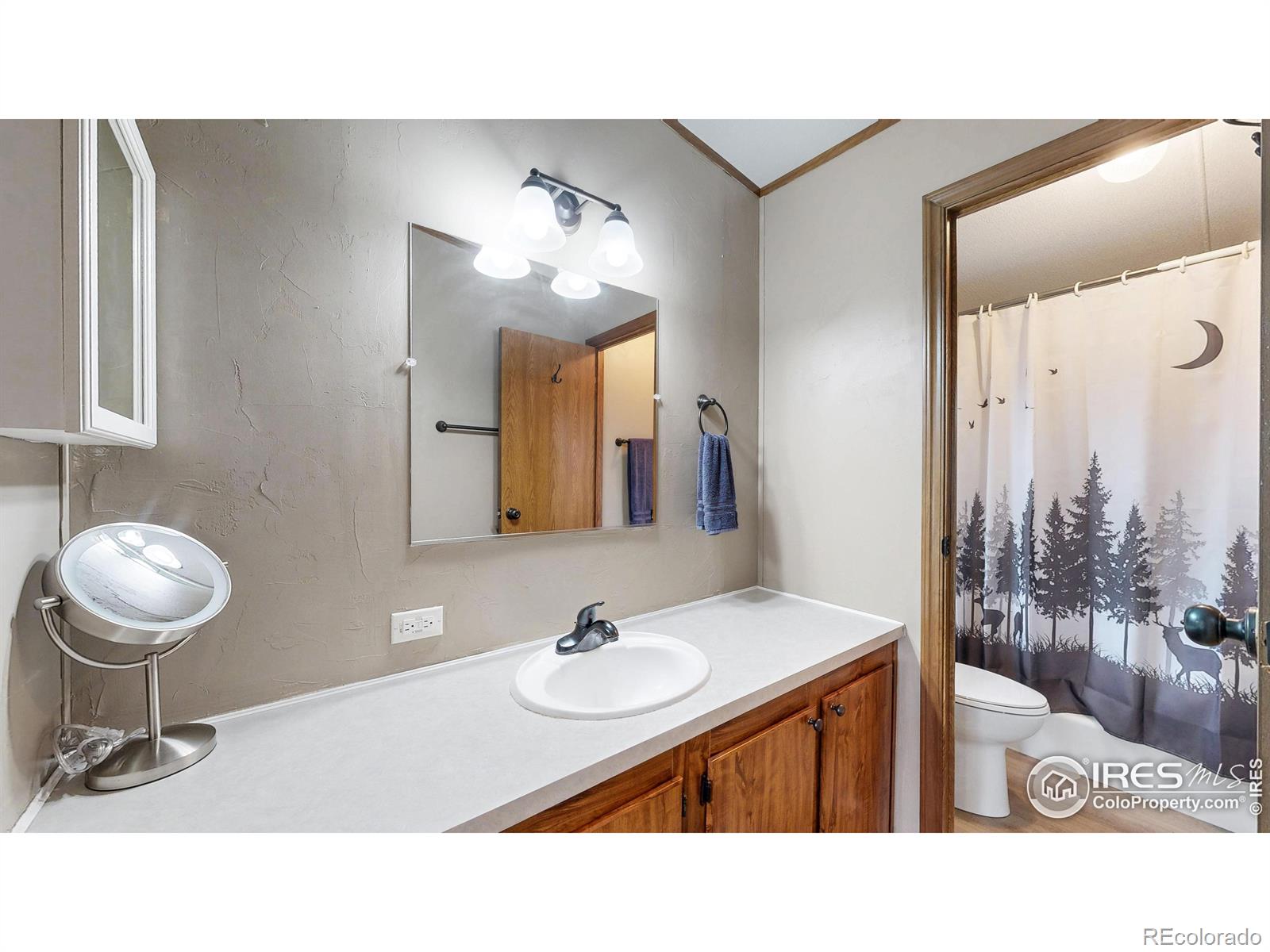 MLS Image #11 for 62  spokane court,red feather lakes, Colorado