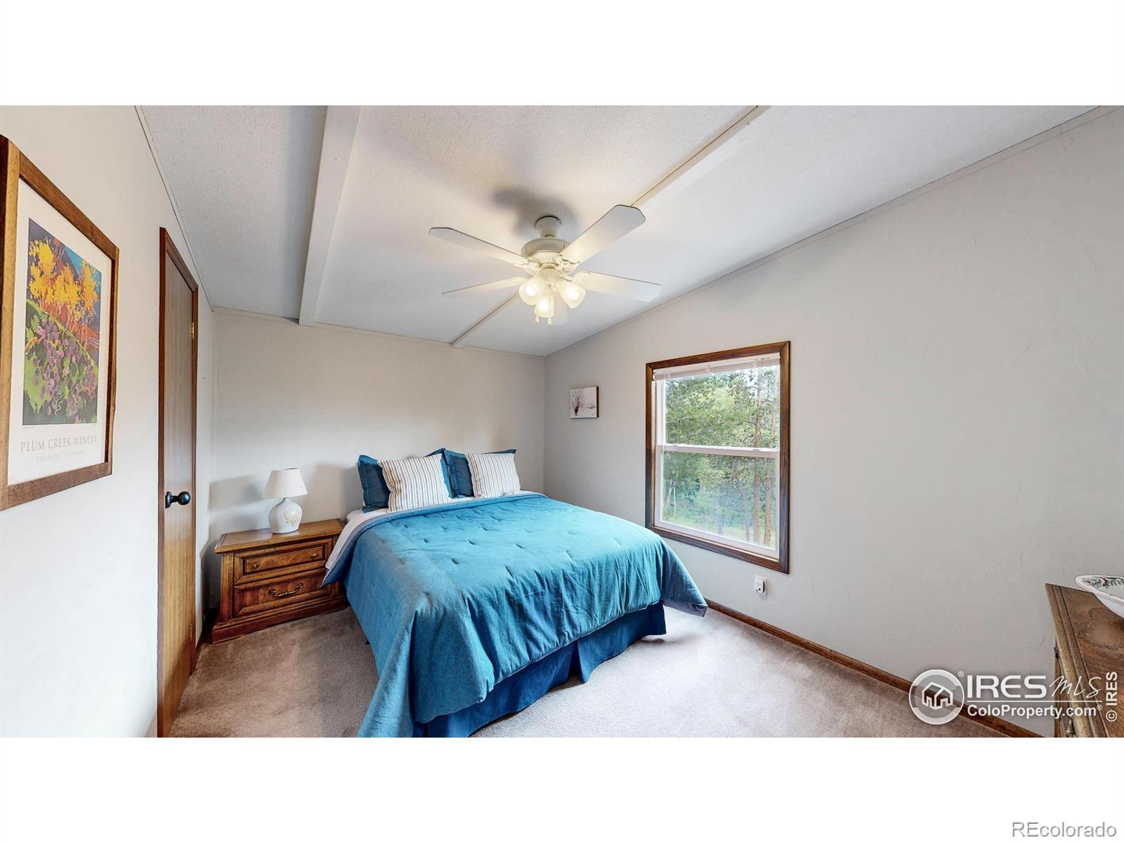MLS Image #17 for 62  spokane court,red feather lakes, Colorado