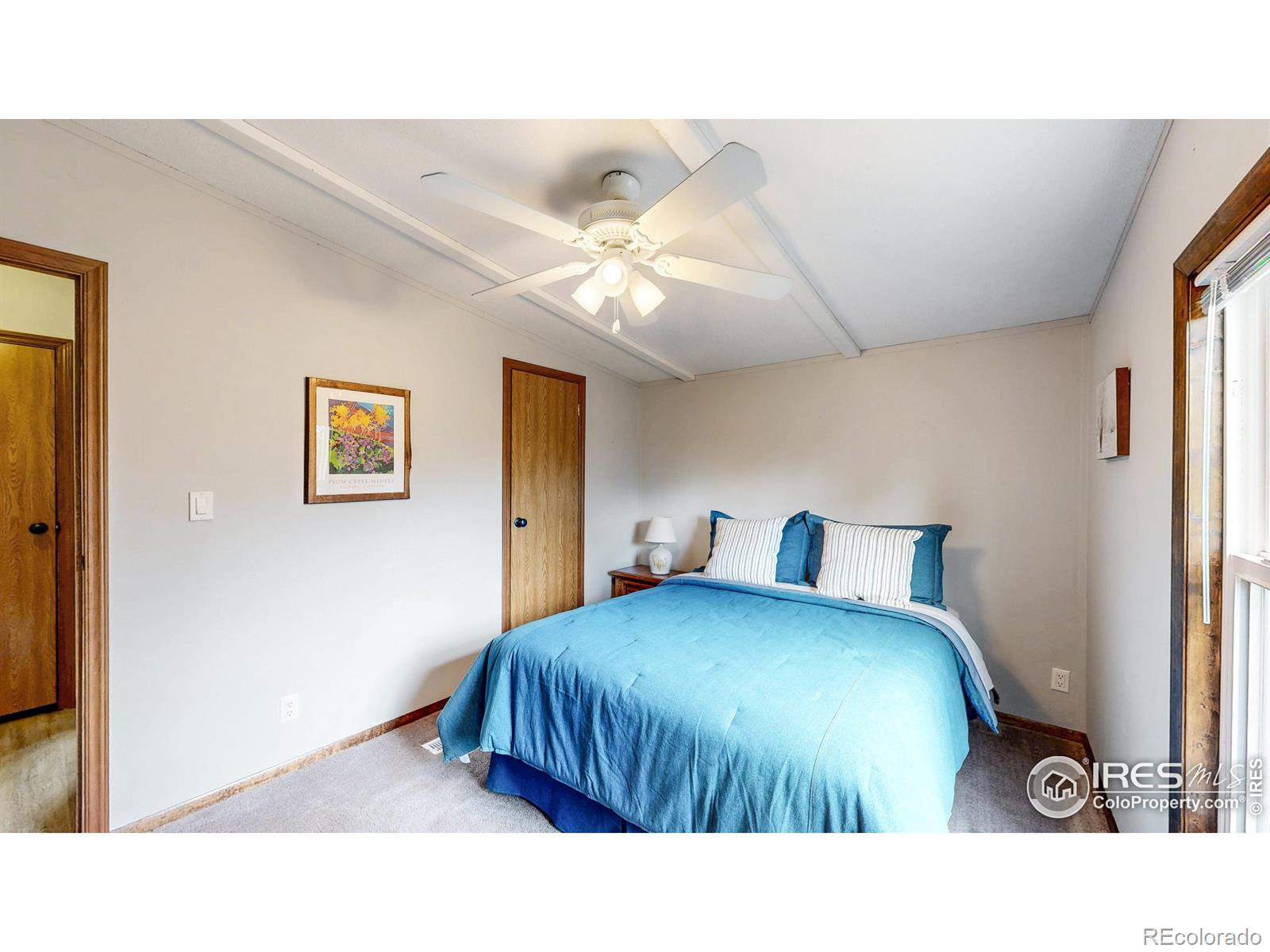 MLS Image #18 for 62  spokane court,red feather lakes, Colorado