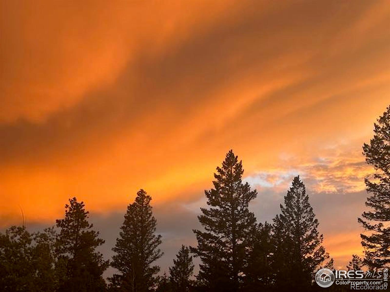 MLS Image #36 for 62  spokane court,red feather lakes, Colorado