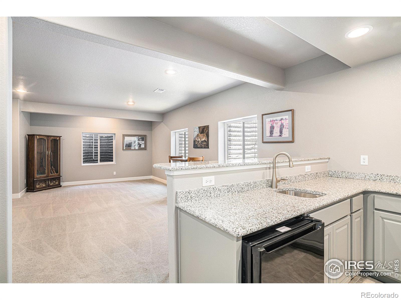 MLS Image #19 for 1834  holloway drive,windsor, Colorado