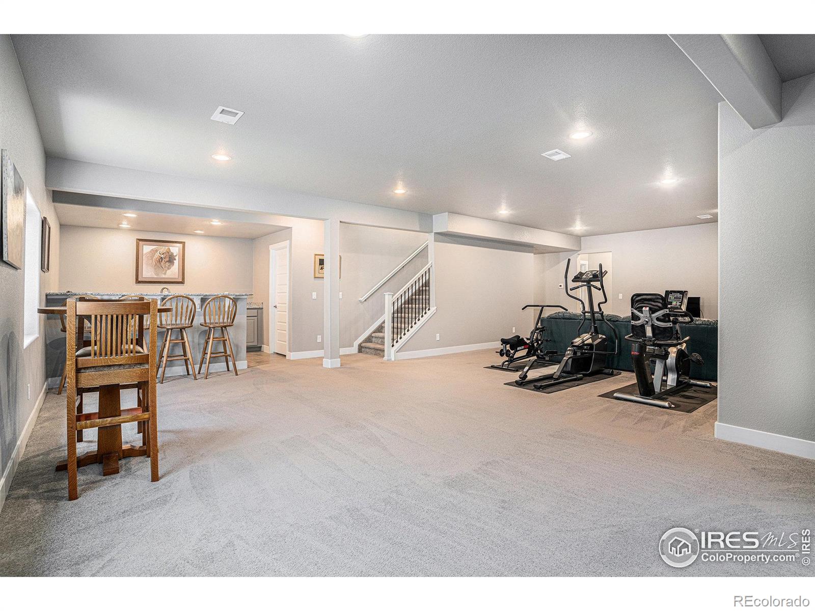 MLS Image #22 for 1834  holloway drive,windsor, Colorado