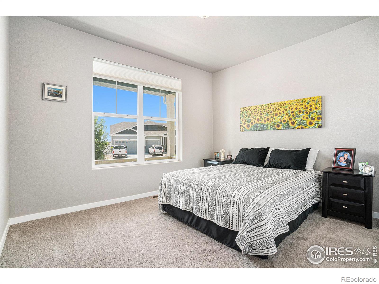 MLS Image #4 for 1834  holloway drive,windsor, Colorado
